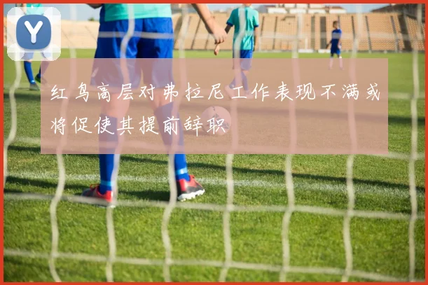 红鸟高层对弗拉尼工作表现不满或将促使其提前辞职