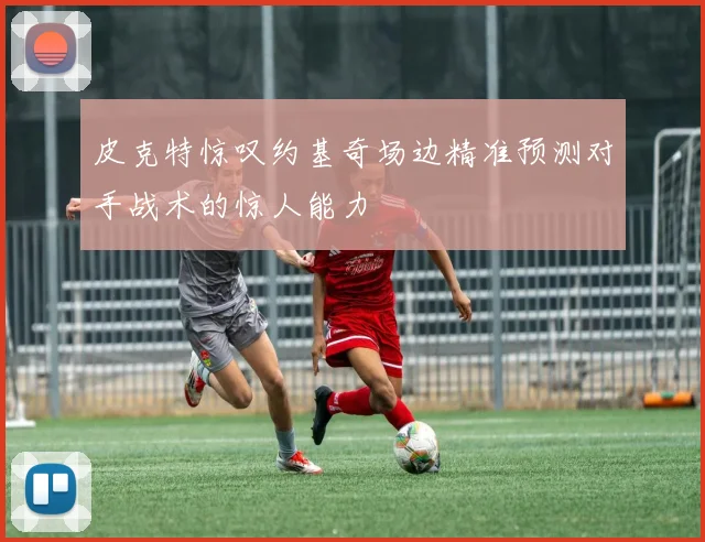 皮克特惊叹约基奇场边精准预测对手战术的惊人能力