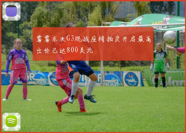 霉霉东决G3观战座椅拍卖开启最高出价已达800美元
