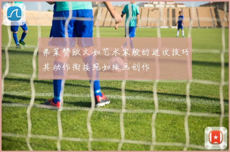 弗莱赞欧文如艺术家般的进攻技巧其动作衔接宛如绘画创作