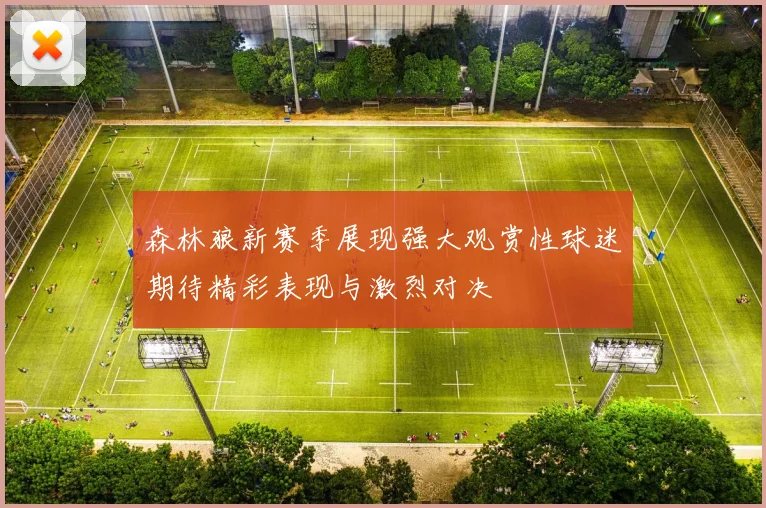 森林狼新赛季展现强大观赏性球迷期待精彩表现与激烈对决